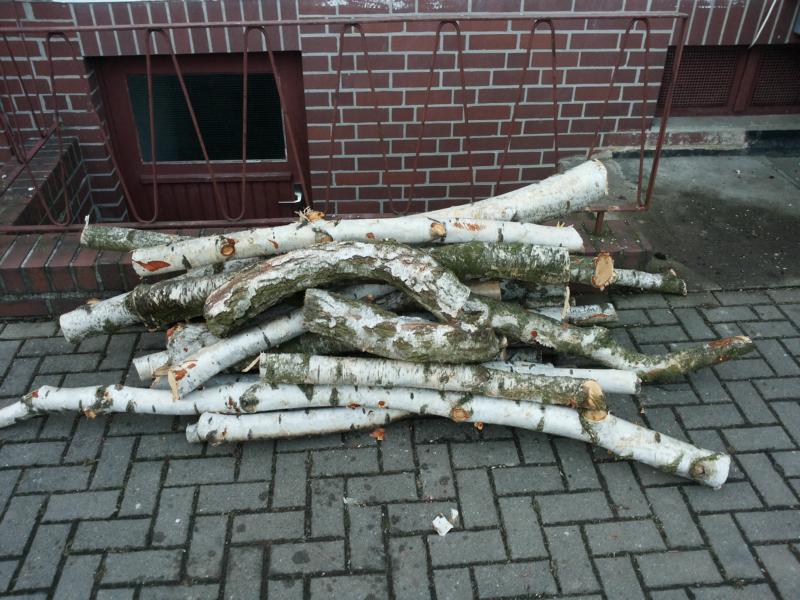 20140206_165825.JPG