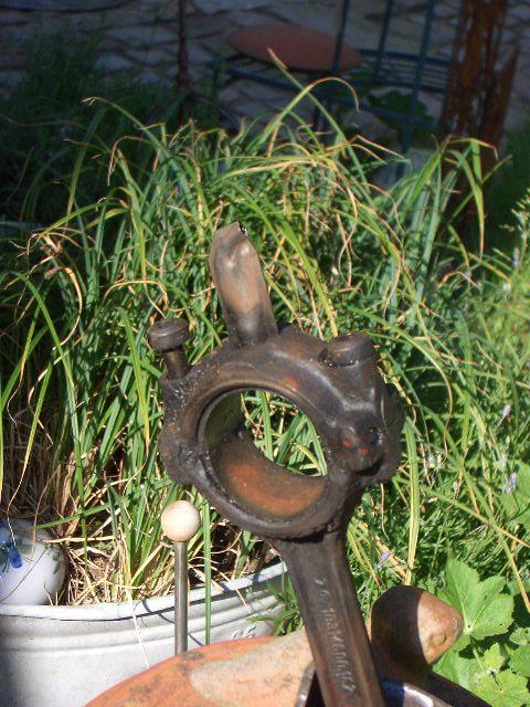 K800_alberne Schöpfnase.JPG