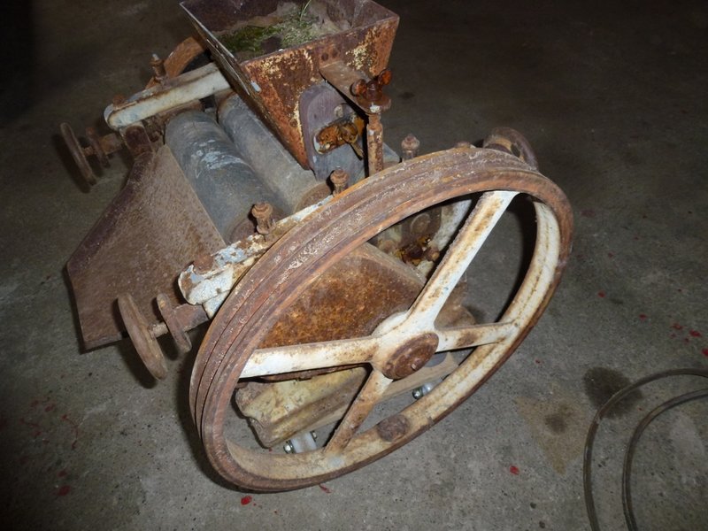 P1010826 (1024x768).jpg