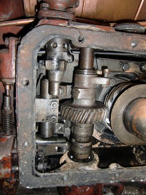 CIMG0963.JPG