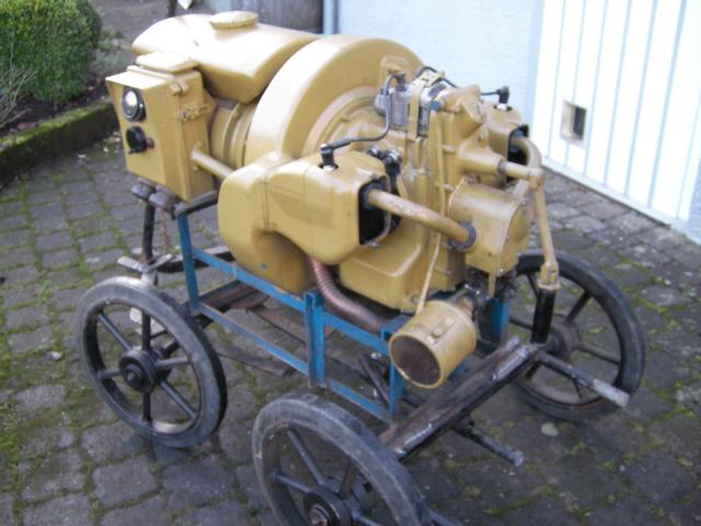 wirkt gar nicht so mickrig, ca. 200 kg Lebendgewicht