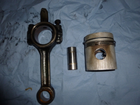 P1000804.JPG