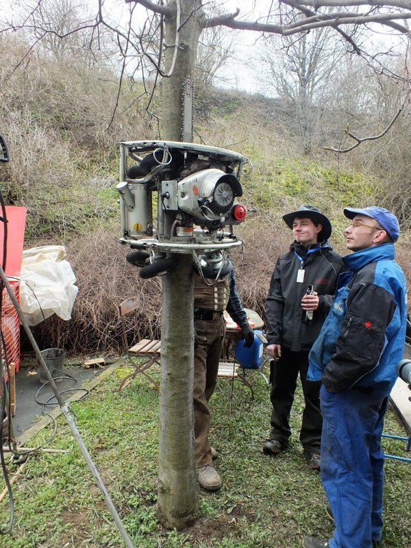 ein &quot;Entaster&quot; fährt automatisch den Baum hoch und runter !