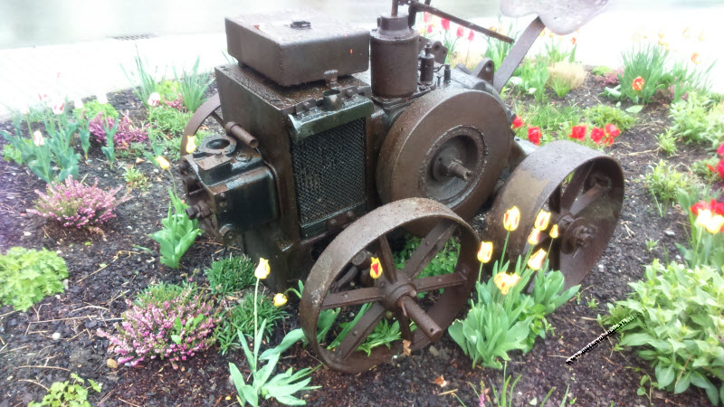 IMAG0037.jpg