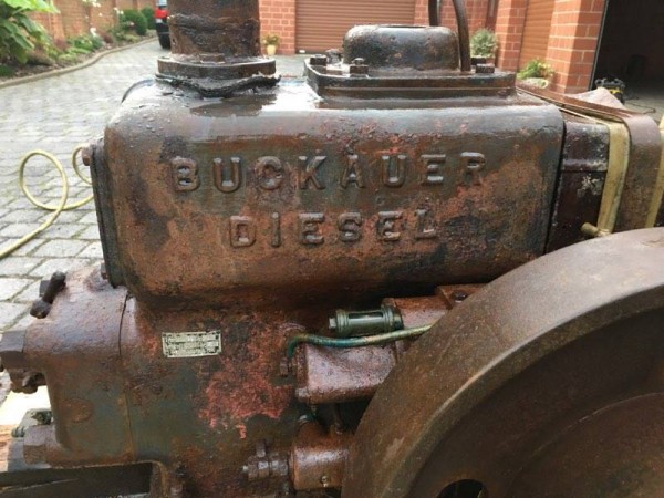 buckauerfd.jpg