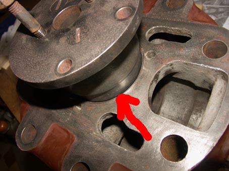 5 Vorkammer im Kopf.jpg