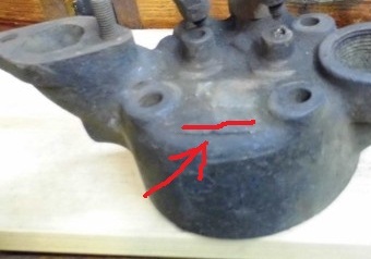 Kopf mit Frostschaden 014.JPG