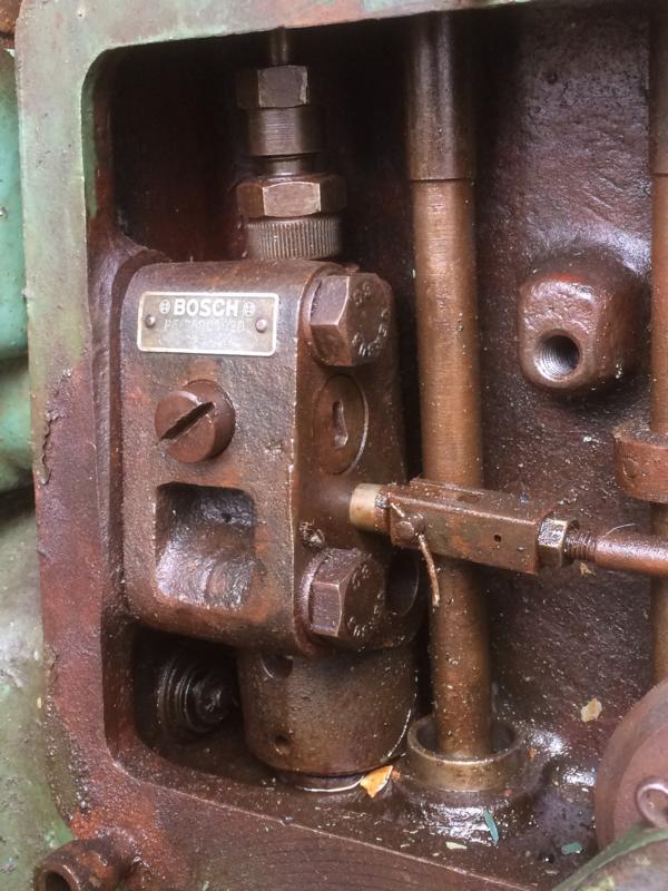 Bosch 006.JPG