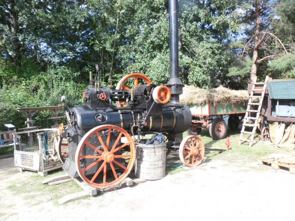 SAM_2193.JPG