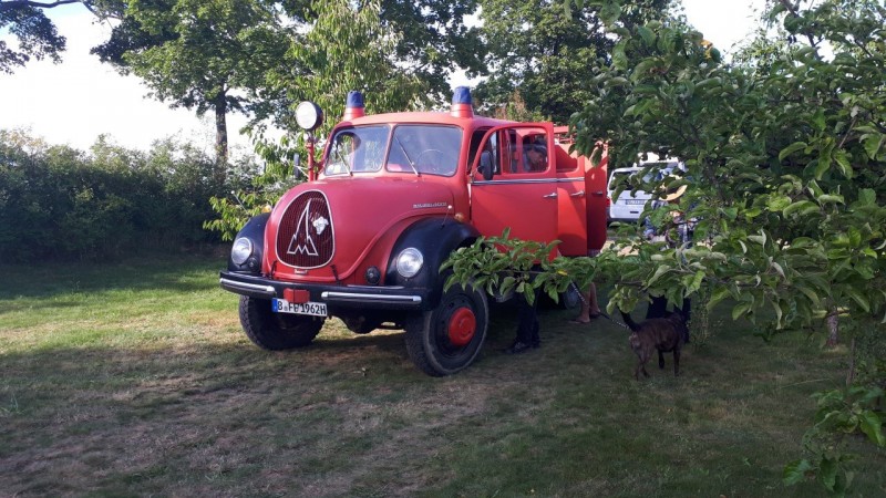 werneuchen 1 aug 2020 herzhorn jensyjgjg.jpg