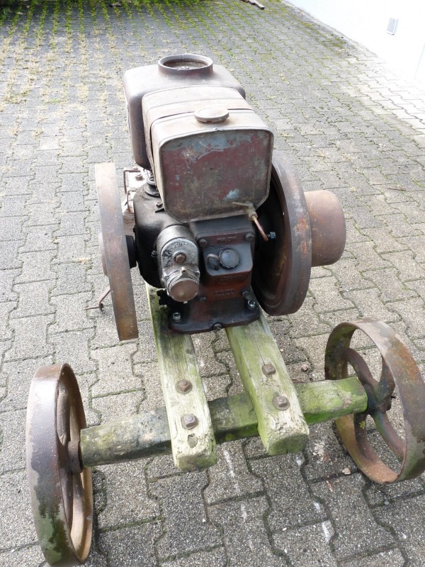 P1000721.JPG