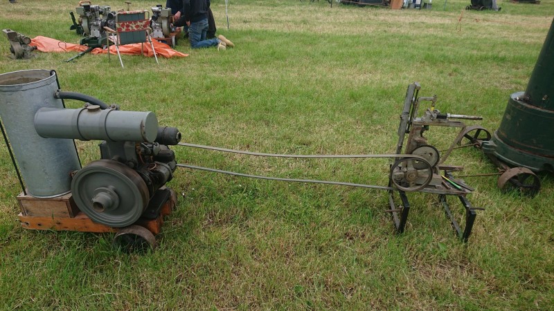 DSC_1019.JPG