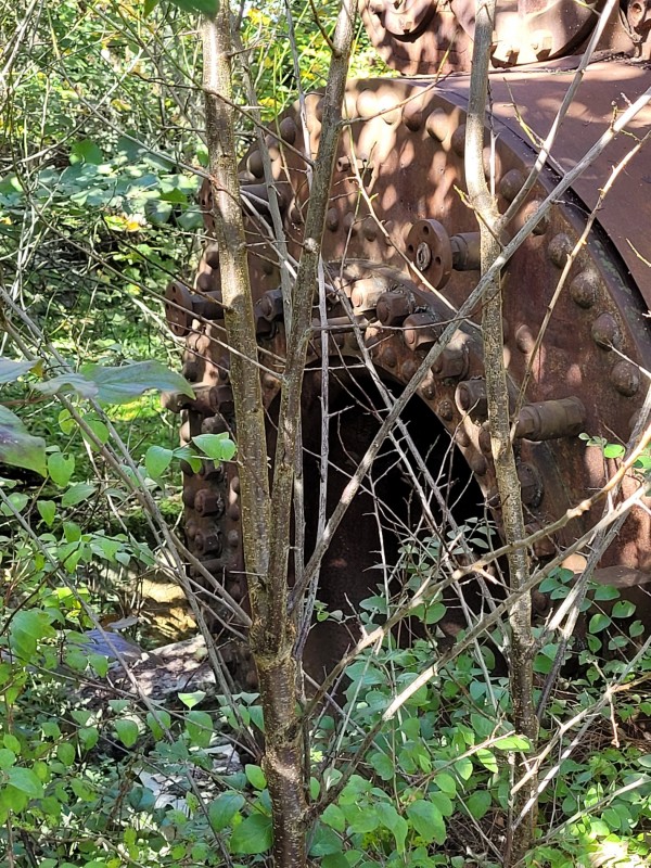 20221004_111900.jpg