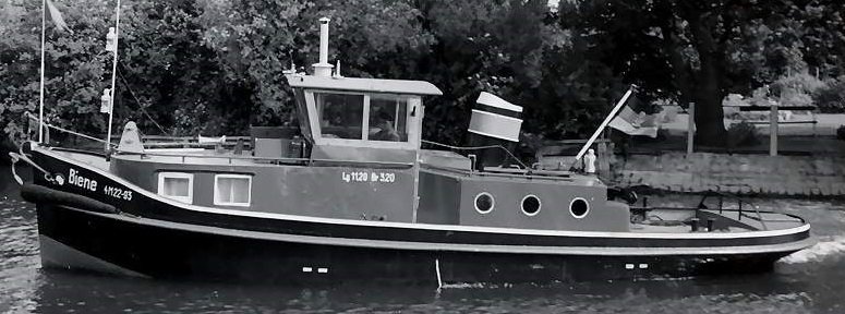 wsb-biene-003zuschnitt.jpg