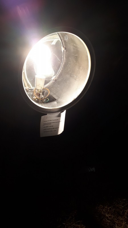20230526_230325.jpg