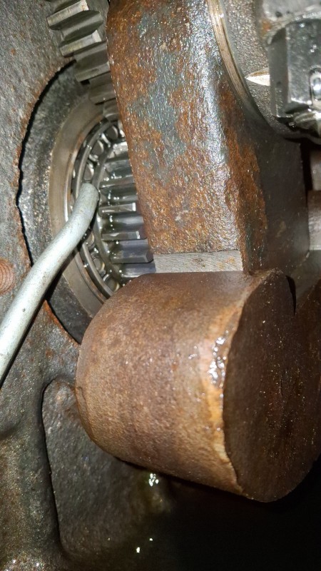 20241005_195117.jpg (691.53 KiB) 4833 mal betrachtet Nachher