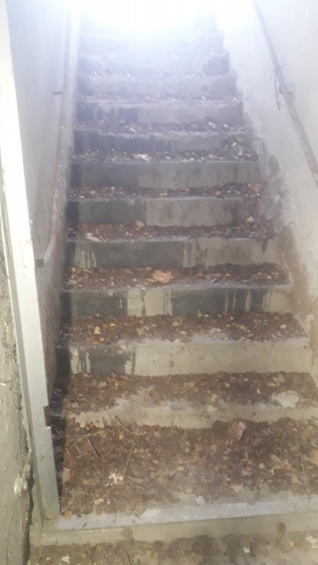 Treppe nach oben...Steigung etwa 35 Grad