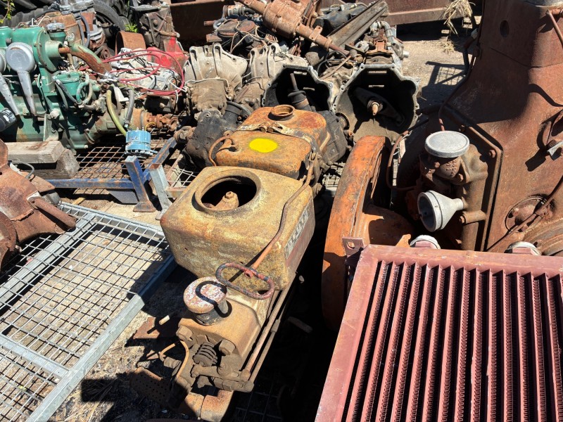 IMG_2365.jpeg