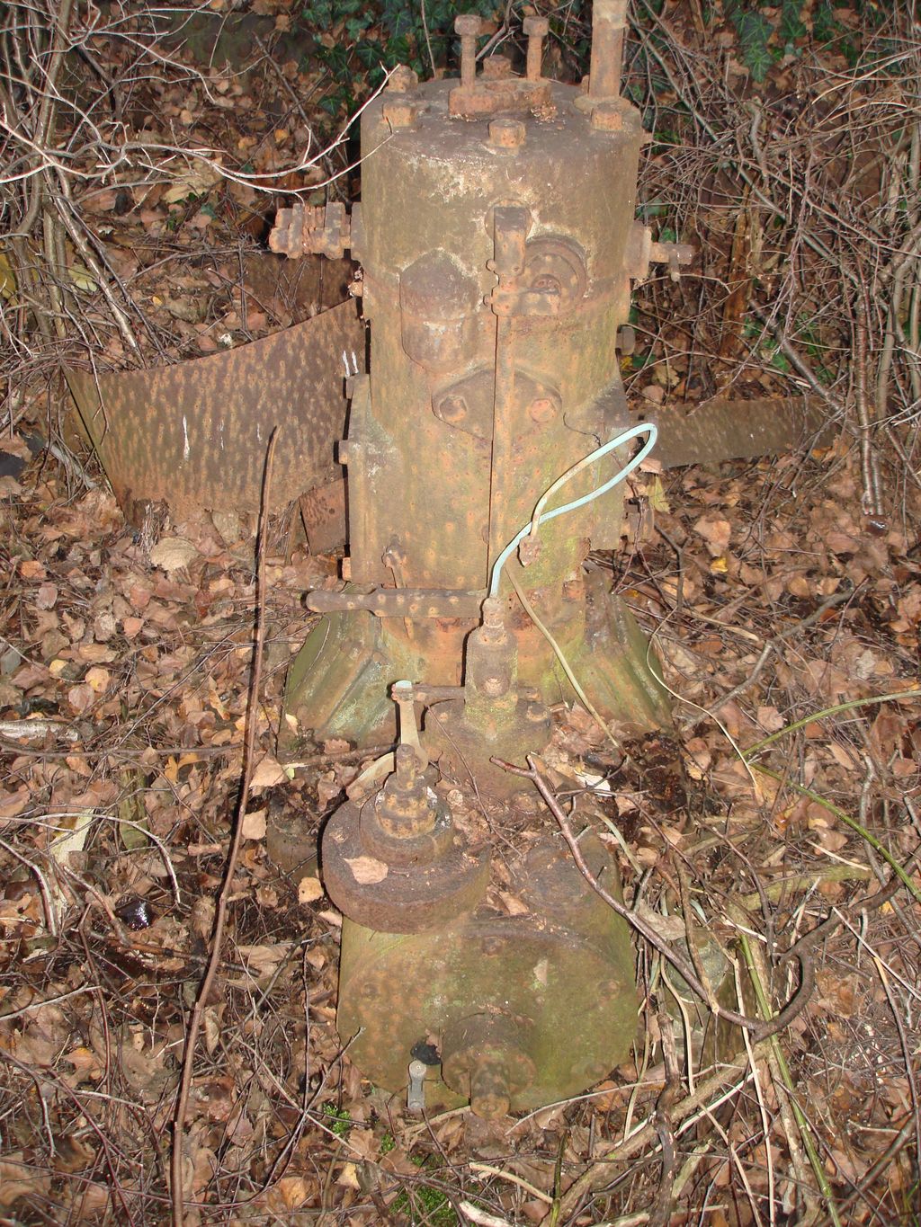 DSC06381.JPG