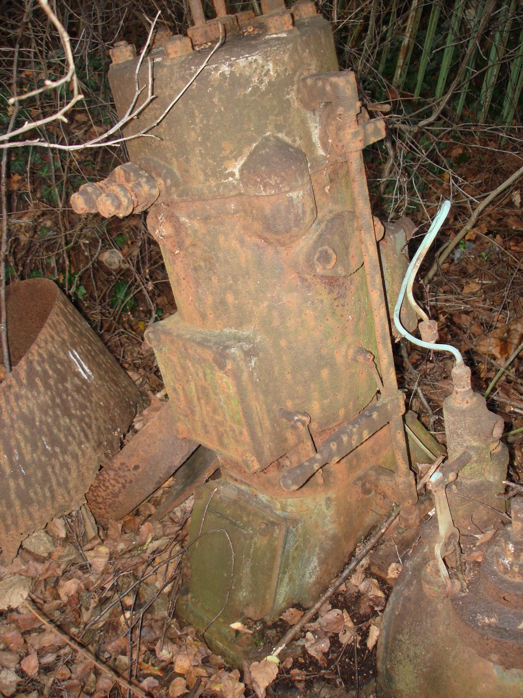 DSC06382.JPG