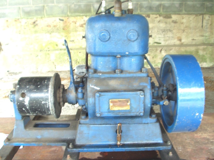 8PS Cushman 2-Zylinder