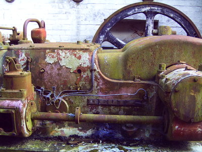 JD310029.JPG