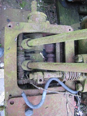 rost2.JPG