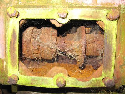 rost.JPG
