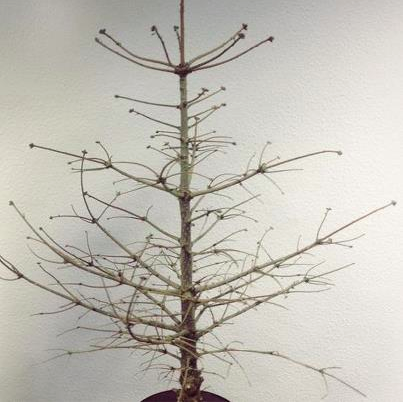 Bildschirmfoto 2012-12-23 um 17.14.52.png