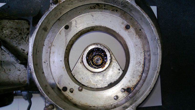 WP_20130123_007.jpg