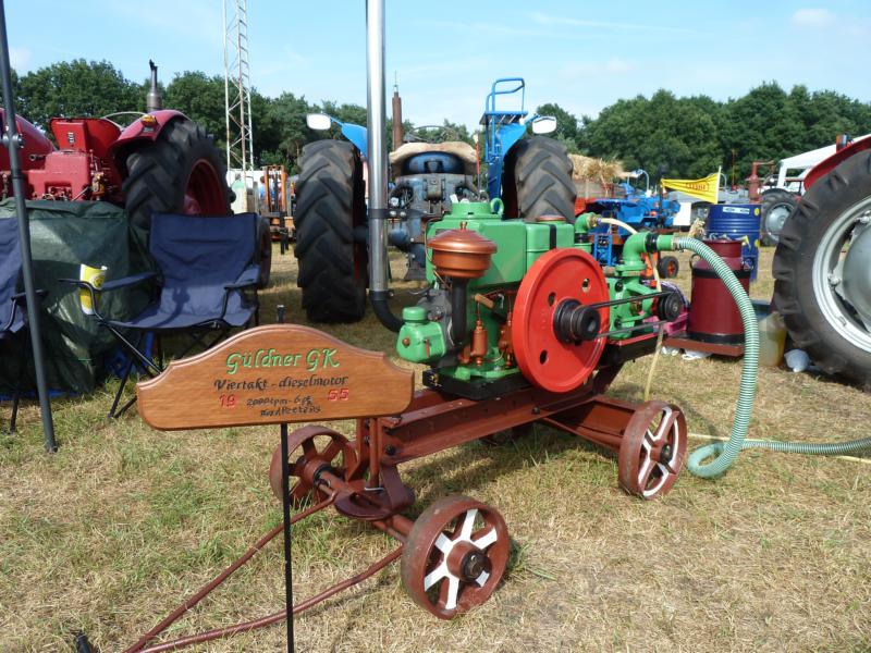 Güldner zwischendrin