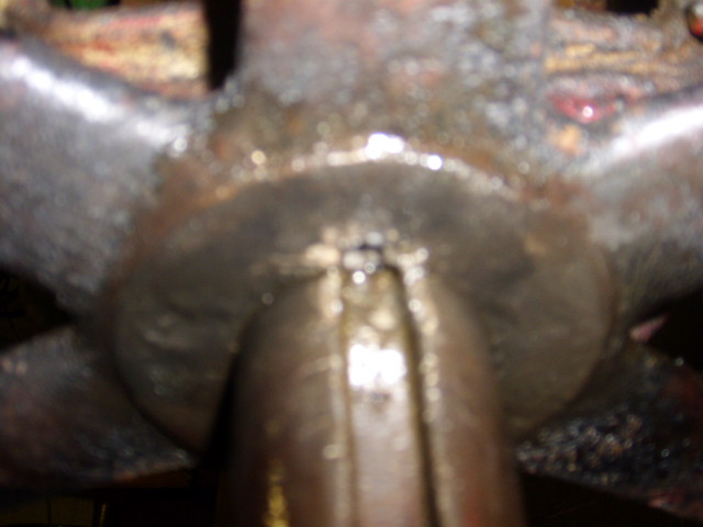 DSCI0017.JPG